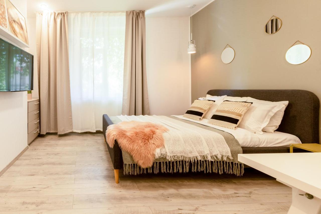 Ideal Stay: Spacious 2Br Apt Near Calea Victoriei ブカレスト エクステリア 写真