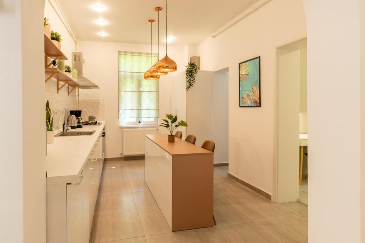 Ideal Stay: Spacious 2Br Apt Near Calea Victoriei ブカレスト エクステリア 写真